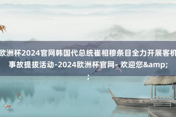 欧洲杯2024官网韩国代总统崔相穆条目全力开展客机事故提拔活动-2024欧洲杯官网- 欢迎您&