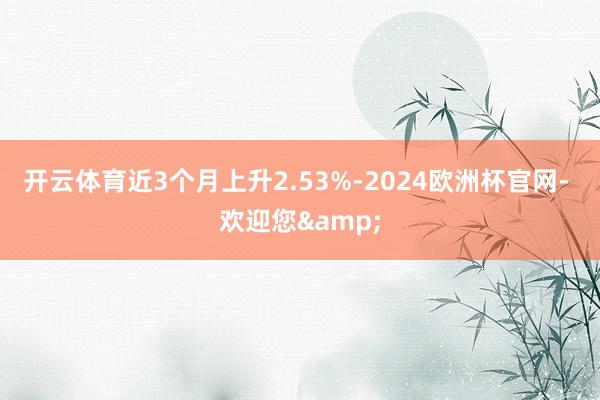 开云体育近3个月上升2.53%-2024欧洲杯官网- 欢迎您&