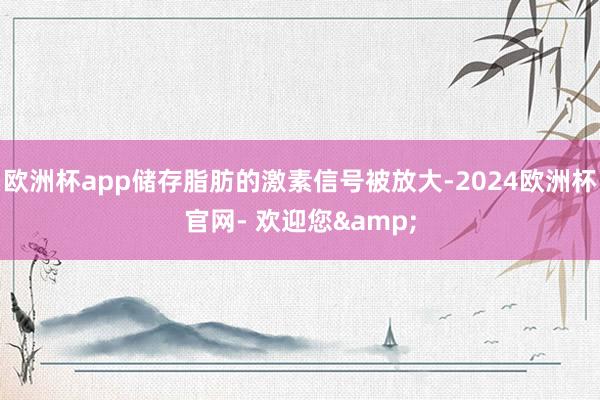 欧洲杯app储存脂肪的激素信号被放大-2024欧洲杯官网- 欢迎您&
