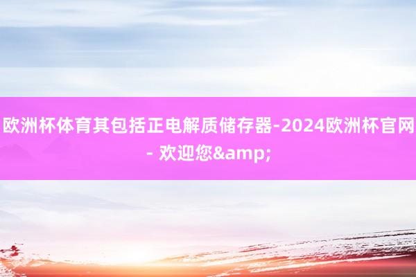 欧洲杯体育其包括正电解质储存器-2024欧洲杯官网- 欢迎您&