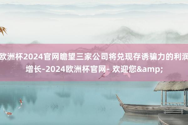 欧洲杯2024官网瞻望三家公司将兑现存诱骗力的利润增长-2024欧洲杯官网- 欢迎您&
