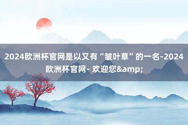 2024欧洲杯官网是以又有“皱叶草”的一名-2024欧洲杯官网- 欢迎您&