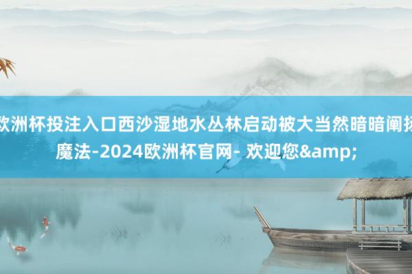 欧洲杯投注入口西沙湿地水丛林启动被大当然暗暗阐扬魔法-2024欧洲杯官网- 欢迎您&