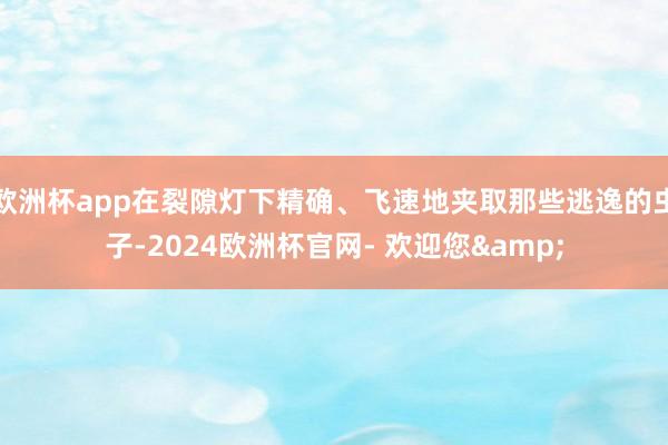 欧洲杯app在裂隙灯下精确、飞速地夹取那些逃逸的虫子-2024欧洲杯官网- 欢迎您&