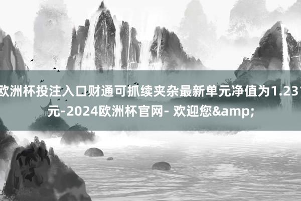 欧洲杯投注入口财通可抓续夹杂最新单元净值为1.231元-2024欧洲杯官网- 欢迎您&