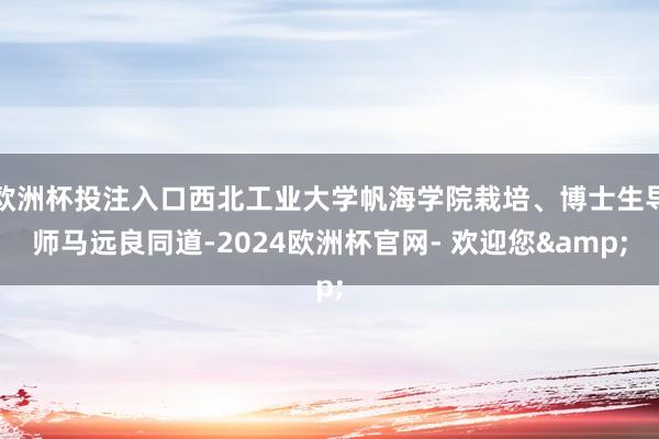 欧洲杯投注入口西北工业大学帆海学院栽培、博士生导师马远良同道-2024欧洲杯官网- 欢迎您&