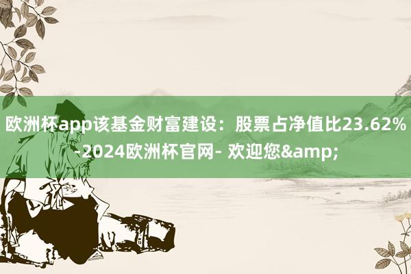 欧洲杯app该基金财富建设：股票占净值比23.62%-2024欧洲杯官网- 欢迎您&