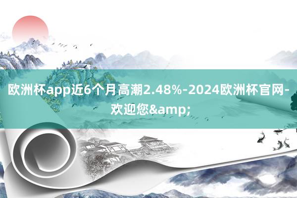 欧洲杯app近6个月高潮2.48%-2024欧洲杯官网- 欢迎您&