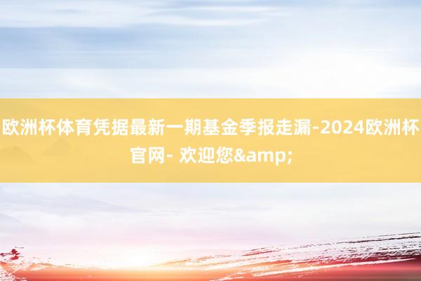 欧洲杯体育凭据最新一期基金季报走漏-2024欧洲杯官网- 欢迎您&