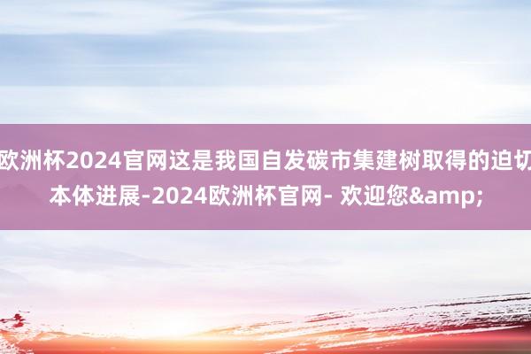 欧洲杯2024官网这是我国自发碳市集建树取得的迫切本体进展-2024欧洲杯官网- 欢迎您&