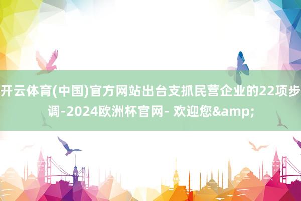 开云体育(中国)官方网站出台支抓民营企业的22项步调-2024欧洲杯官网- 欢迎您&