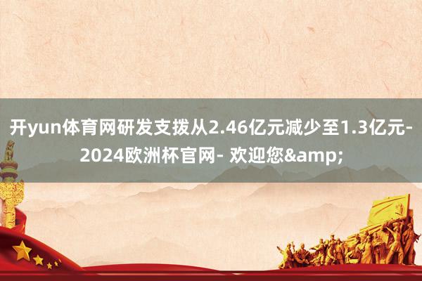 开yun体育网研发支拨从2.46亿元减少至1.3亿元-2024欧洲杯官网- 欢迎您&