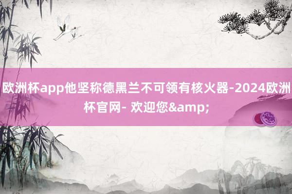 欧洲杯app他坚称德黑兰不可领有核火器-2024欧洲杯官网- 欢迎您&
