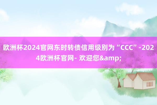 欧洲杯2024官网东时转债信用级别为“CCC”-2024欧洲杯官网- 欢迎您&