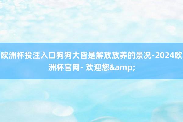 欧洲杯投注入口狗狗大皆是解放放养的景况-2024欧洲杯官网- 欢迎您&