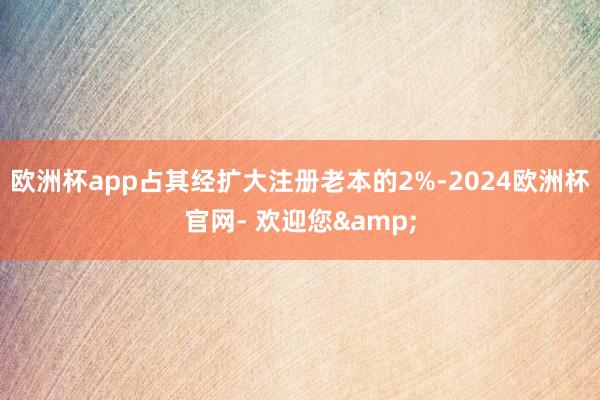欧洲杯app占其经扩大注册老本的2%-2024欧洲杯官网- 欢迎您&
