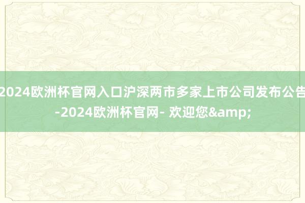 2024欧洲杯官网入口沪深两市多家上市公司发布公告-2024欧洲杯官网- 欢迎您&