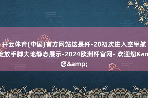 开云体育(中国)官方网站这是歼-20初次进入空军航空绽放手脚大地静态展示-2024欧洲杯官网- 欢迎您&