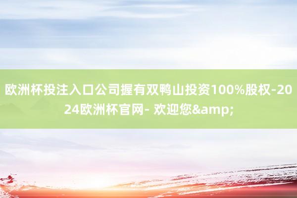 欧洲杯投注入口公司握有双鸭山投资100%股权-2024欧洲杯官网- 欢迎您&