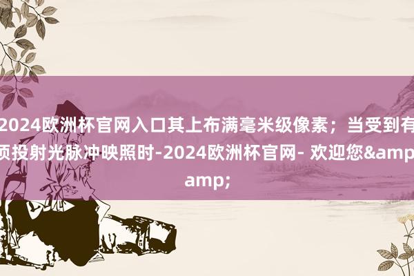 2024欧洲杯官网入口其上布满毫米级像素;当受到有顷投射光脉冲映照时-2024欧洲杯官网- 欢迎您&