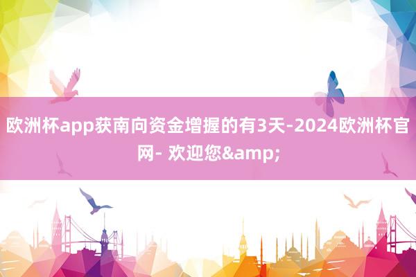 欧洲杯app获南向资金增握的有3天-2024欧洲杯官网- 欢迎您&
