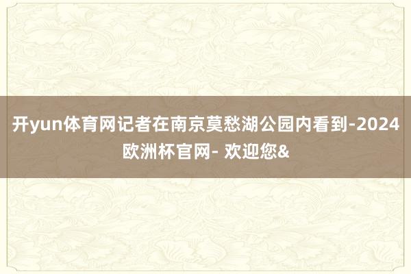 开yun体育网记者在南京莫愁湖公园内看到-2024欧洲杯官网- 欢迎您&