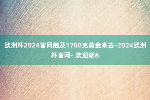 欧洲杯2024官网触及1700克黄金来去-2024欧洲杯官网- 欢迎您&