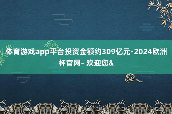 体育游戏app平台投资金额约309亿元-2024欧洲杯官网- 欢迎您&