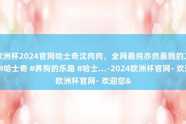 欧洲杯2024官网哈士奇沈肉肉，全网最纯亦然最贱的二哈！ #哈士奇 #养狗的乐趣 #哈士...-2024欧洲杯官网- 欢迎您&