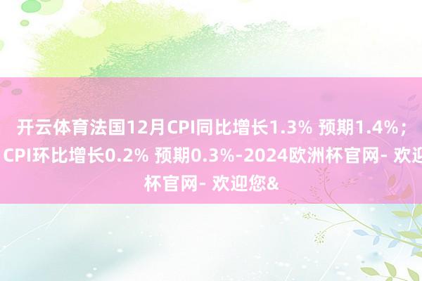 开云体育法国12月CPI同比增长1.3% 预期1.4%；12月CPI环比增长0.2% 预期0.3%-2024欧洲杯官网- 欢迎您&