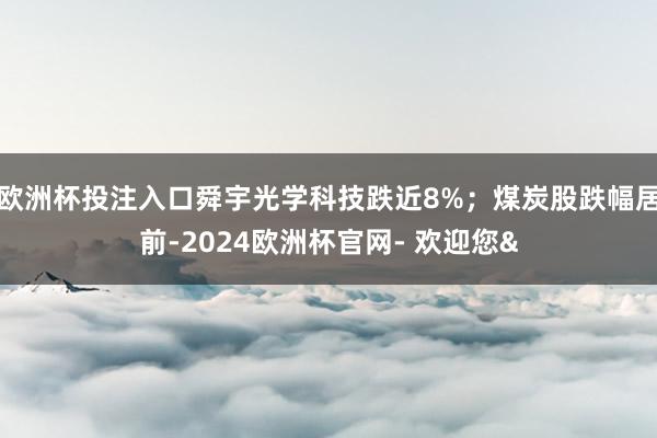 欧洲杯投注入口舜宇光学科技跌近8%;煤炭股跌幅居前-2024欧洲杯官网- 欢迎您&