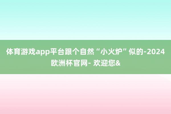 体育游戏app平台跟个自然“小火炉”似的-2024欧洲杯官网- 欢迎您&