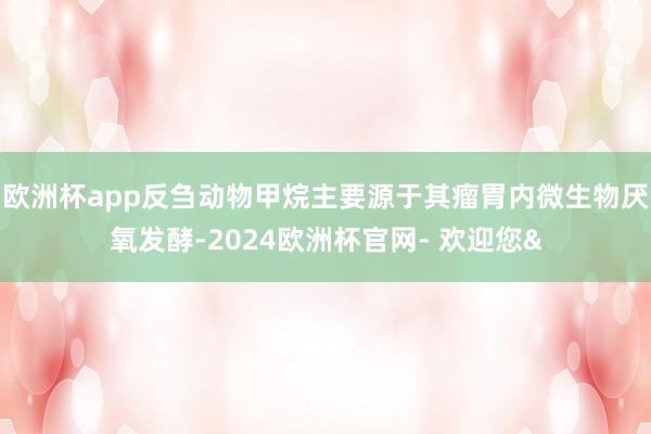 欧洲杯app反刍动物甲烷主要源于其瘤胃内微生物厌氧发酵-2024欧洲杯官网- 欢迎您&