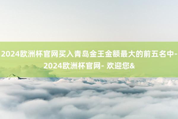2024欧洲杯官网买入青岛金王金额最大的前五名中-2024欧洲杯官网- 欢迎您&