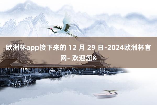 欧洲杯app接下来的 12 月 29 日-2024欧洲杯官网- 欢迎您&