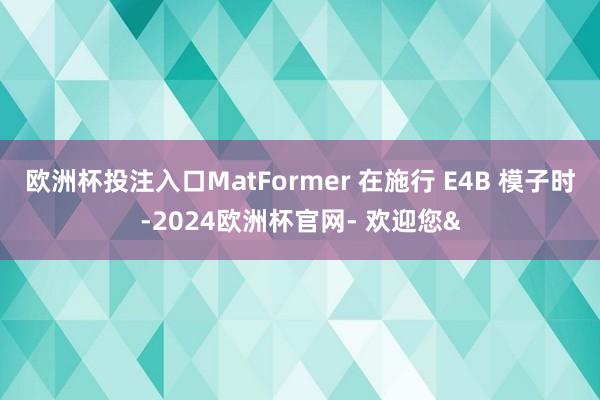 欧洲杯投注入口MatFormer 在施行 E4B 模子时-2024欧洲杯官网- 欢迎您&