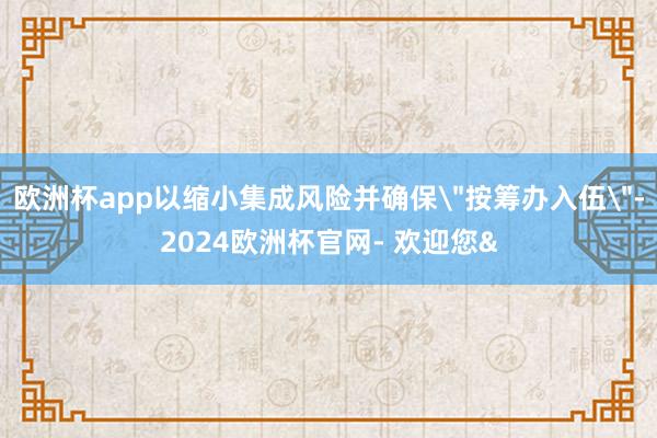 欧洲杯app以缩小集成风险并确保