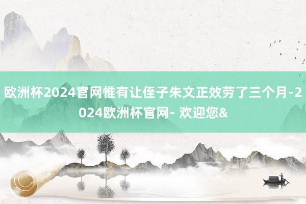 欧洲杯2024官网惟有让侄子朱文正效劳了三个月-2024欧洲杯官网- 欢迎您&