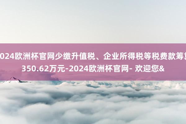 2024欧洲杯官网少缴升值税、企业所得税等税费款筹算350.62万元-2024欧洲杯官网- 欢迎您&