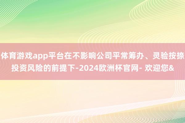 体育游戏app平台在不影响公司平常筹办、灵验按捺投资风险的前提下-2024欧洲杯官网- 欢迎您&