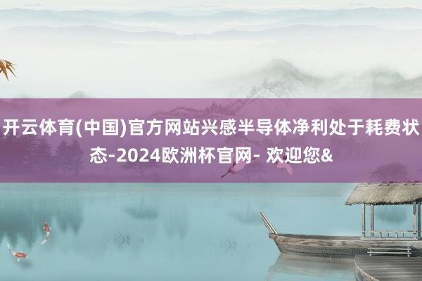 开云体育(中国)官方网站兴感半导体净利处于耗费状态-2024欧洲杯官网- 欢迎您&
