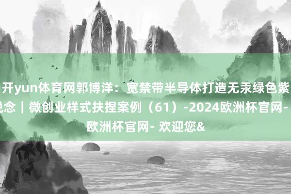 开yun体育网郭博洋：宽禁带半导体打造无汞绿色紫外新赛说念｜微创业样式扶捏案例（61）-2024欧洲杯官网- 欢迎您&