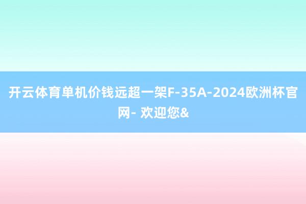 开云体育单机价钱远超一架F-35A-2024欧洲杯官网- 欢迎您&