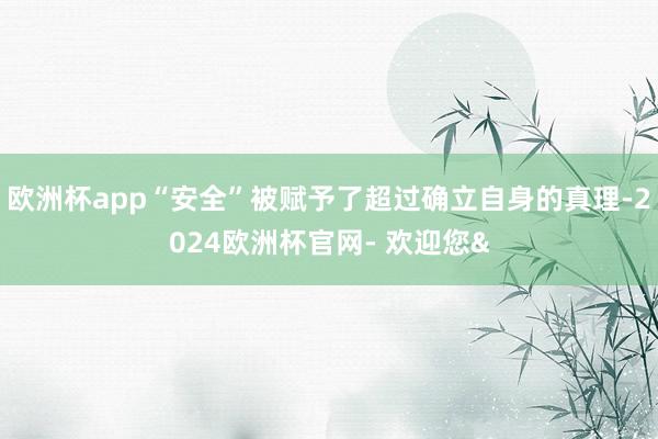 欧洲杯app“安全”被赋予了超过确立自身的真理-2024欧洲杯官网- 欢迎您&