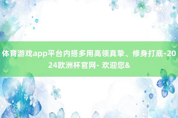 体育游戏app平台内搭多用高领真挚、修身打底-2024欧洲杯官网- 欢迎您&