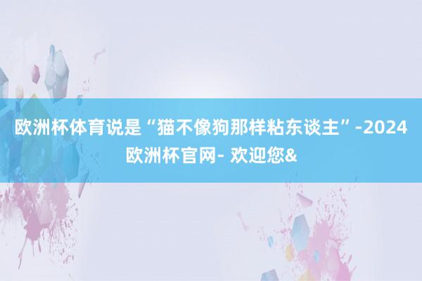 欧洲杯体育说是“猫不像狗那样粘东谈主”-2024欧洲杯官网- 欢迎您&